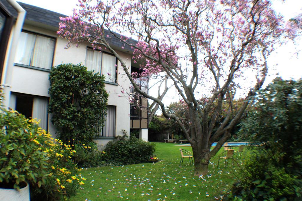 טלקה Hotel Terrabella מראה חיצוני תמונה
